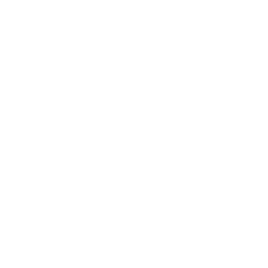 Nedap Nedap
