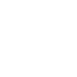 Pepsico Pepsico