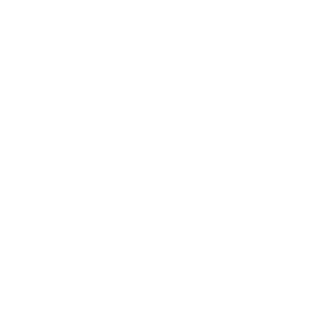 Boehringer Ingelheim Boehringer Ingelheim