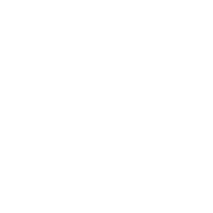 U-Mobility U-Mobility